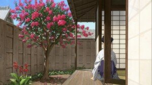 manga sankarea anime fleur flower tree nature Tsukasa Hojo minuscule totoro ghibli les femmes du zodiaque miss hokusa