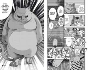 Street fighting cat Doki doki manga